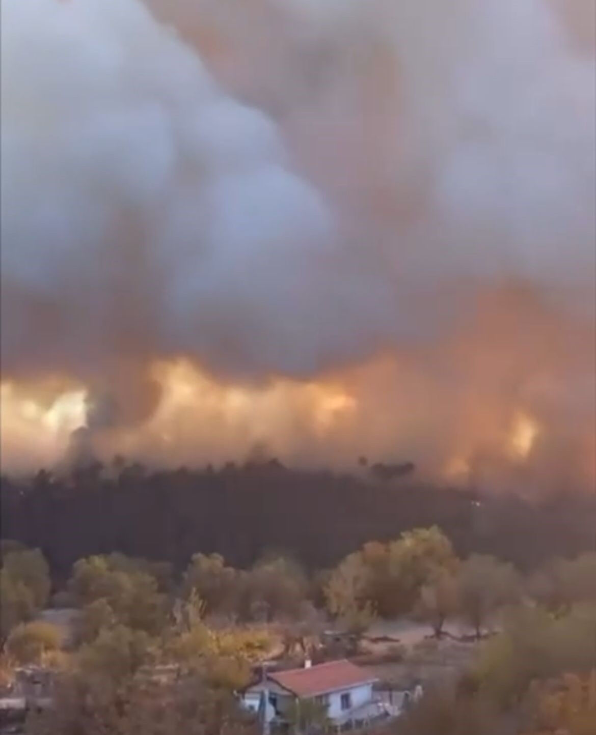 Bursa'da orman yangını! Alevlerle mücadele sürüyor - 1. Resim