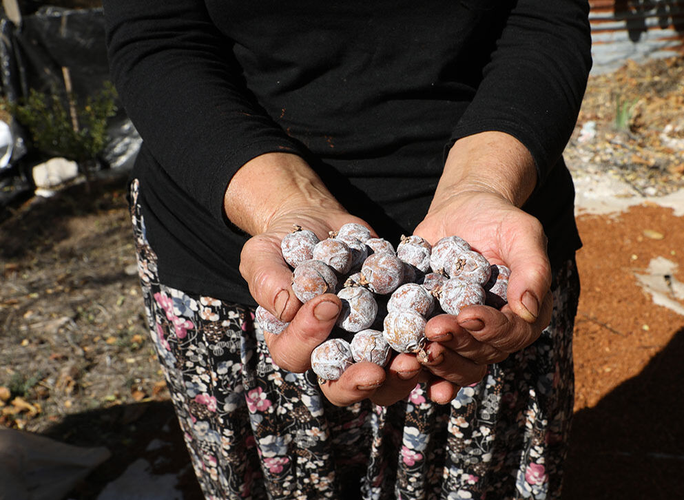 Kilosu 250 lira! Kozalaklardan üretilen Andız pekmezinin yapımı zor, şifası bol - 1. Resim