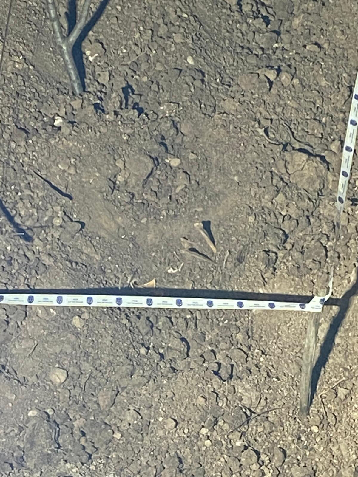 Kahramanmaraş'ta 19 yıllık sır çözüldü! Kaybolan kız kardeşlerin cesetleri bulundu - 3. Resim