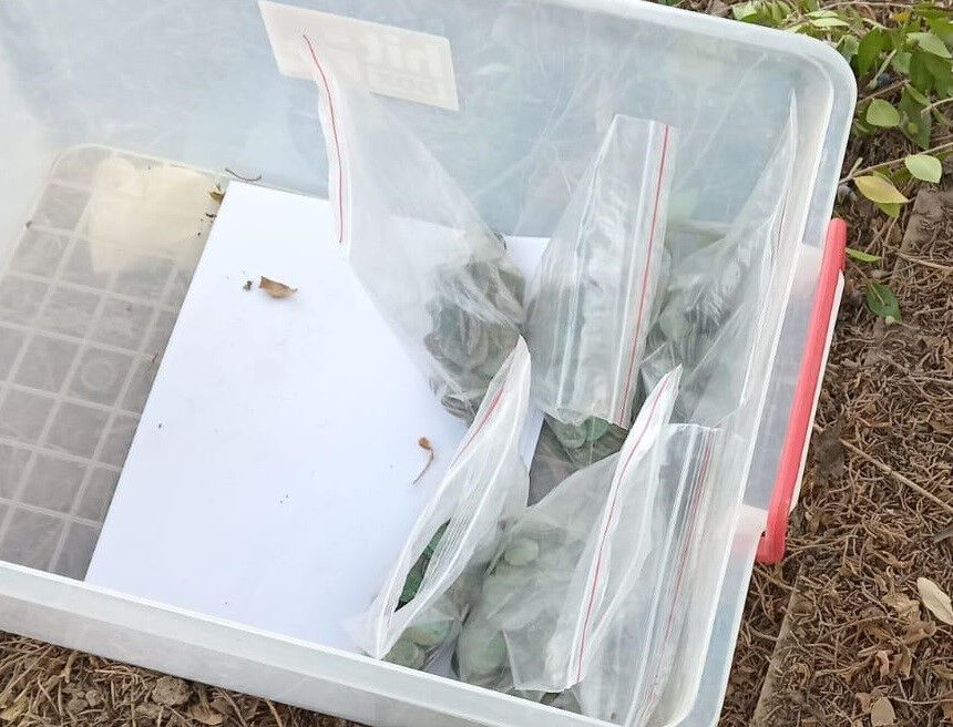 Mezar yeri kazarken küp buldular, içinden çil çil gümüş paralar çıktı! Mersin'de cenaze defni şaşırttı Mezar yeri kazarken küp buldular, içinden çil çil gümüş paralar çıktı! Mersin'de cenaze defni şaşırttı - 1. Resim