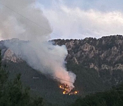 Alevler bu kez Adana'dan yükseldi! Pozantı'da tabiat parkı ormanında yangın çıktı - 1. Resim