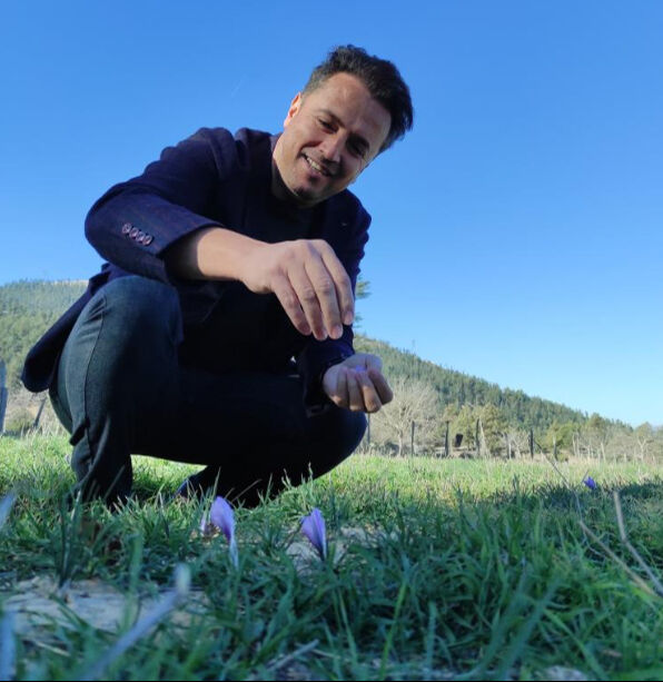 Adana'da altın değerindeki safran hasadı başladı - 2. Resim