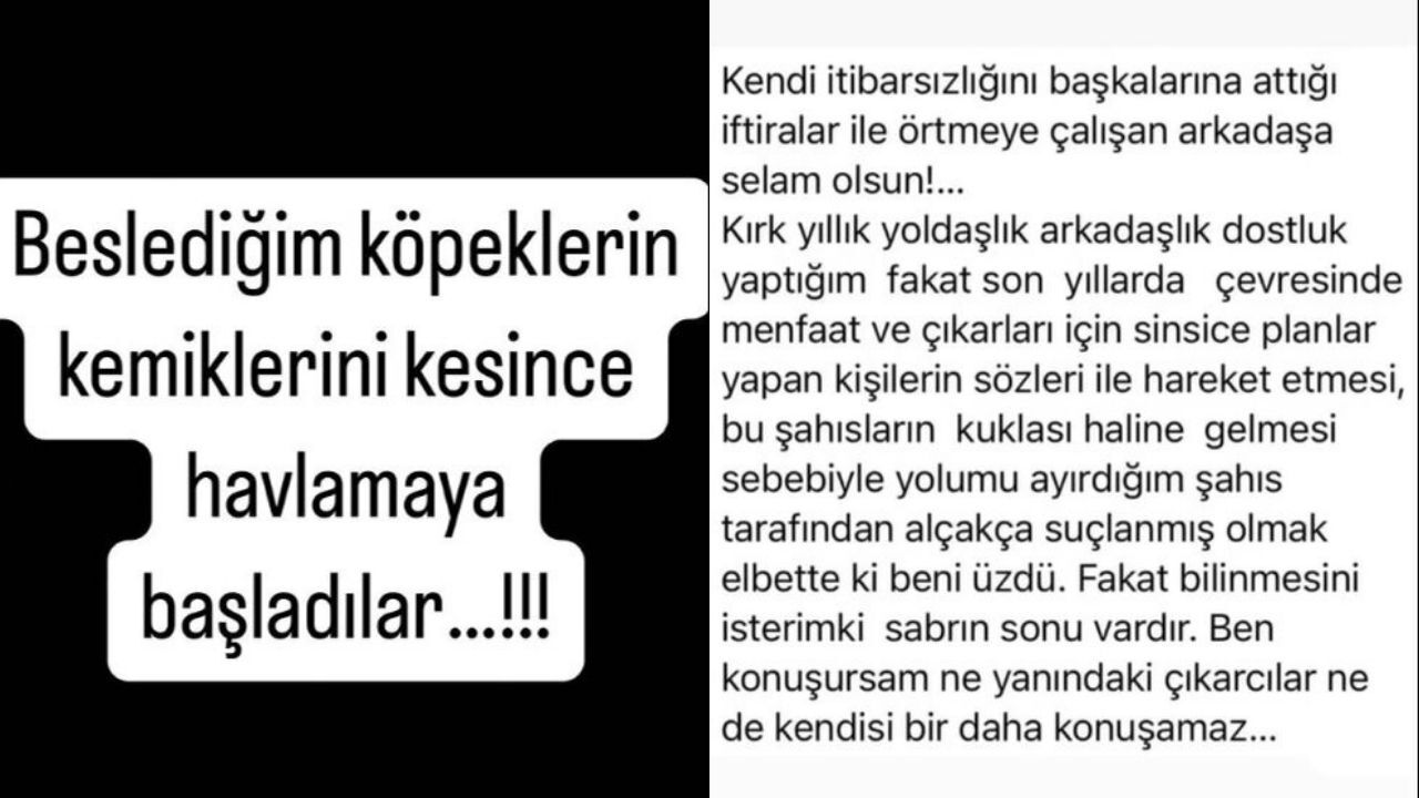 40 yıllık dostu İbrahim Tatlıses'le birbirine girdi: Metin Cantimur kimdir? - 2. Resim