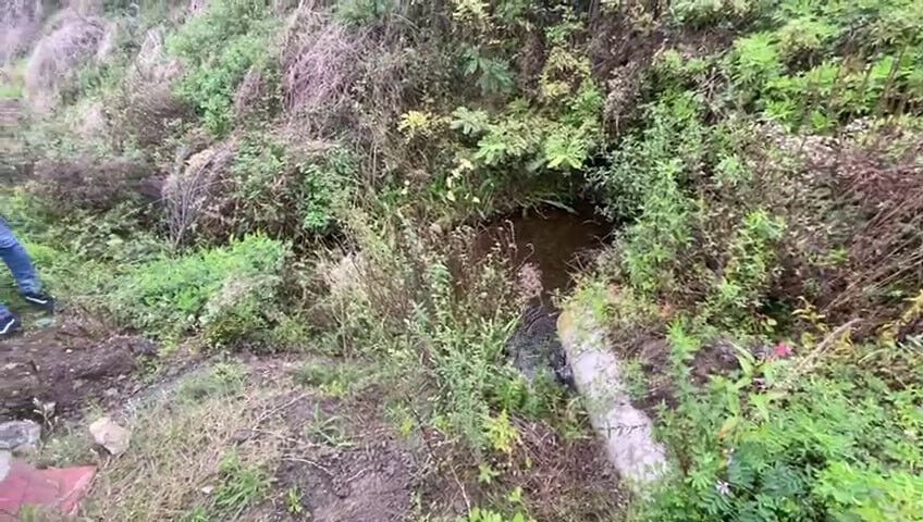 Amatör balıkçılar fark etti! Ekipler acilen harekete geçti - 1. Resim