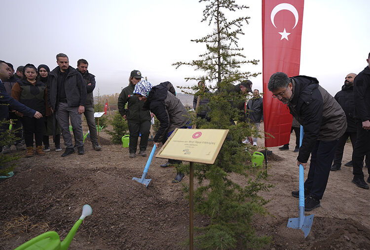 Ankara'da fidanlar Gazze için toprakla buluştu - 2. Resim
