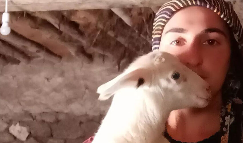 MasterChef Ayşe’den beklenmedik proje! Ekrana döneceği program belli oldu MasterChef Ayşe’den beklenmedik proje! Ekrana döneceği program belli oldu - 3. Resim