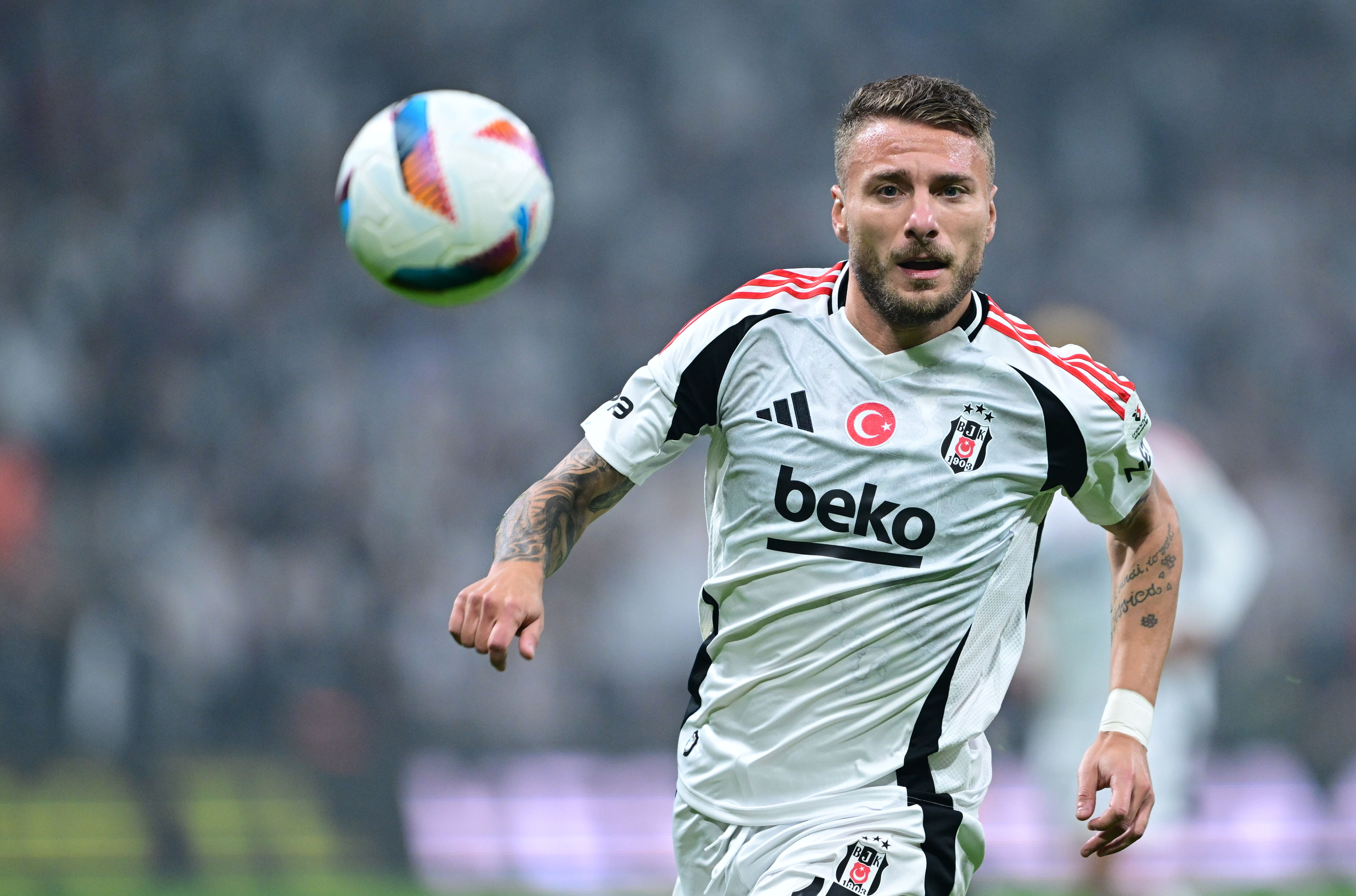 Süper Lig'de gol krallığı yarışında son durum! Osimhen coştu yarış kızıştı... Süper Lig'de gol krallığı yarışında son durum! Osimhen coştu yarış kızıştı... - 8. Resim