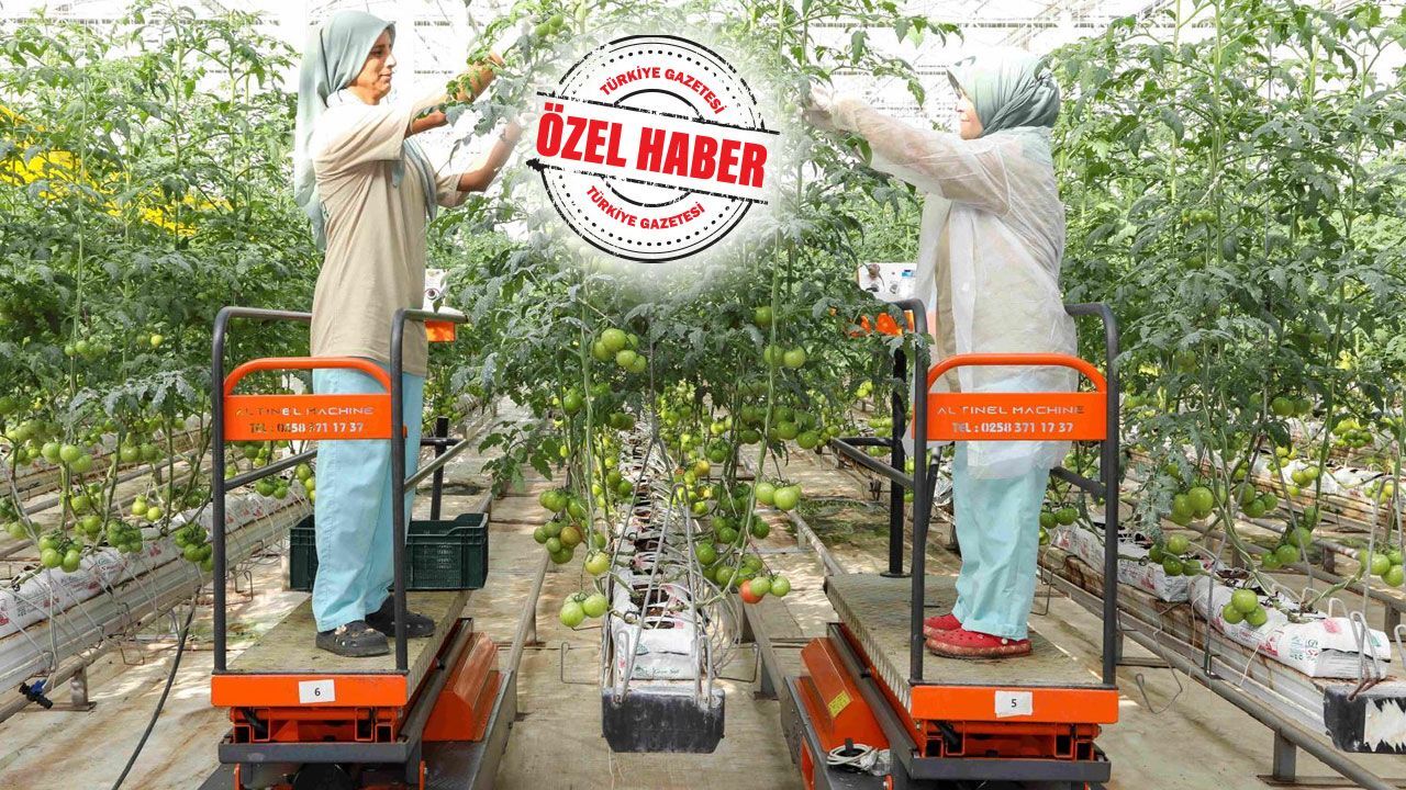 Tarımda verilimi zirveye taşıyan teknoloji! Agrotech binlerce çiftçiye umut eli oldu