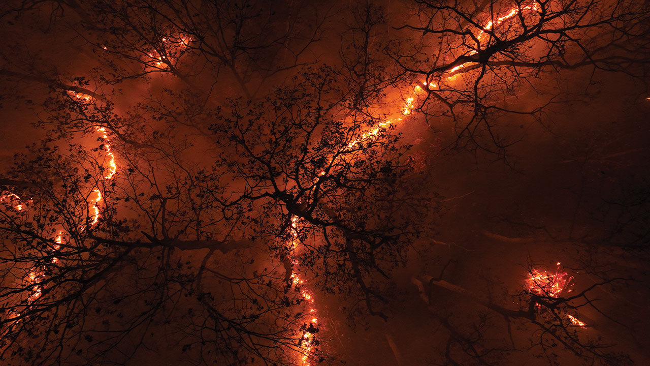 ABD'nin New Jersey eyaletinde yangınlar söndürülemiyor! Vatandaşlara peş peşe uyarı - 1. Resim