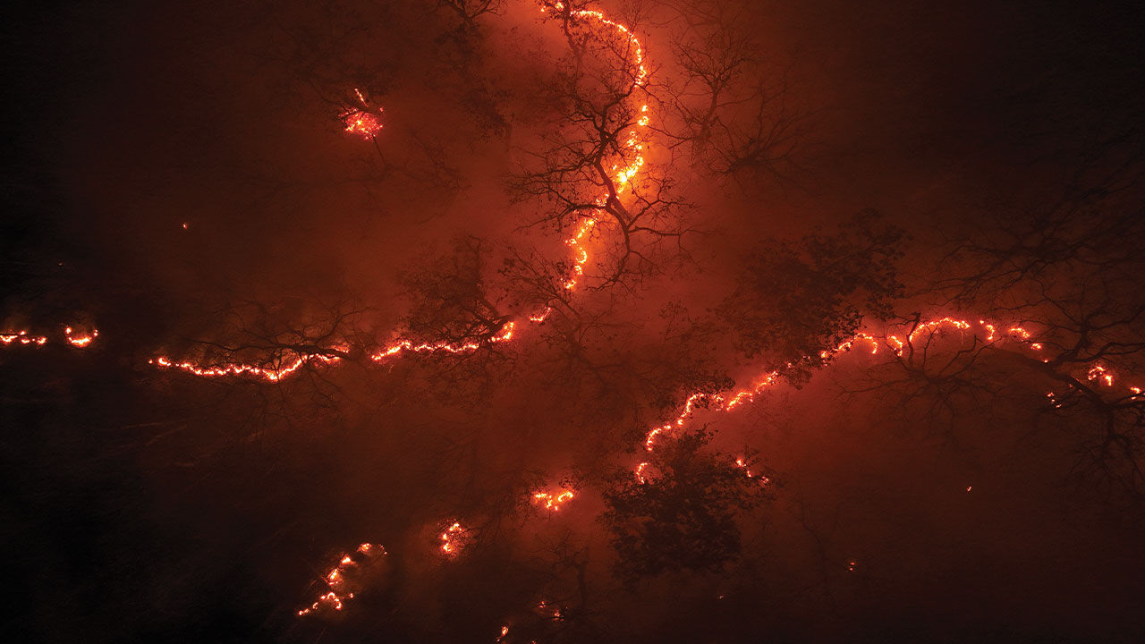 ABD'nin New Jersey eyaletinde yangınlar söndürülemiyor! Vatandaşlara peş peşe uyarı - 4. Resim