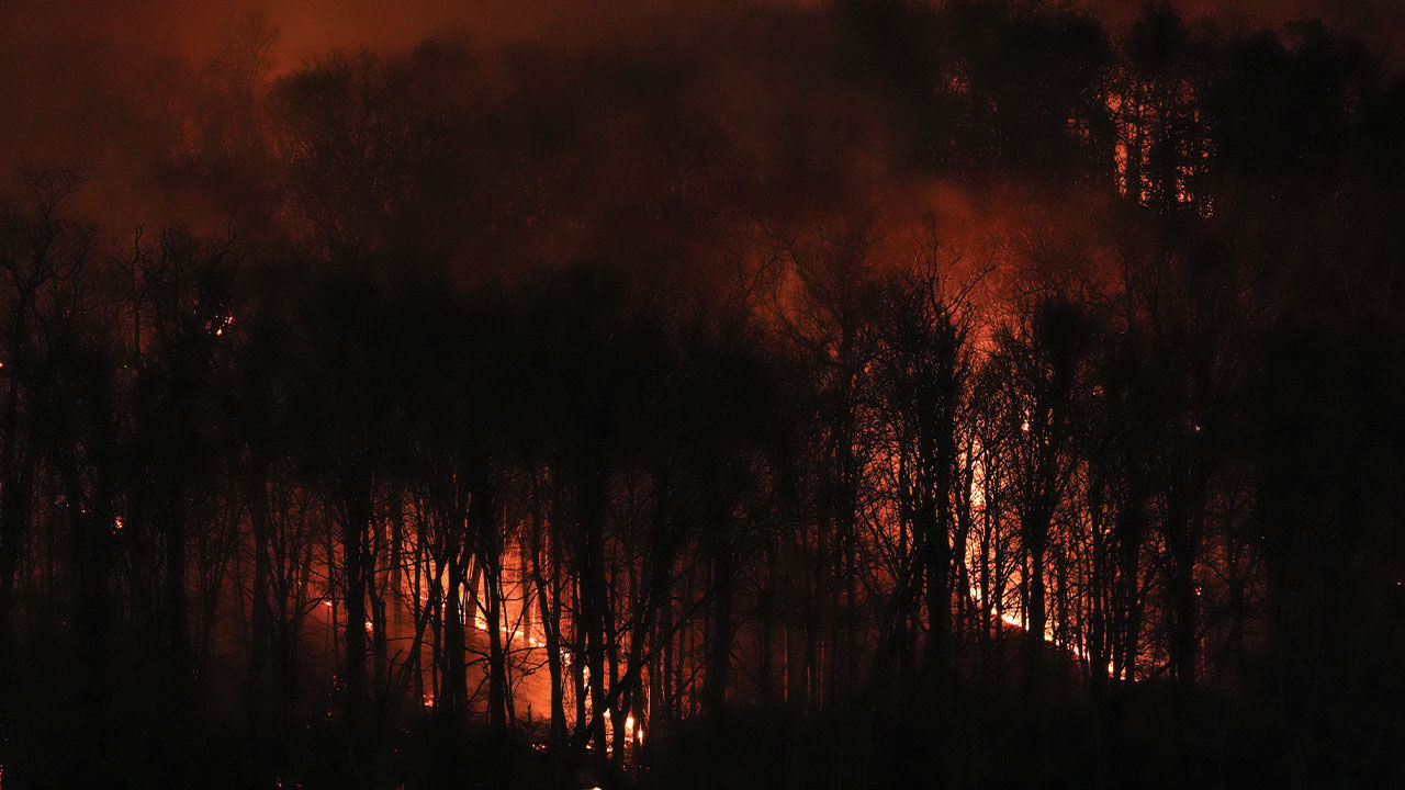 ABD'nin New Jersey eyaletinde yangınlar söndürülemiyor! Vatandaşlara peş peşe uyarı - 3. Resim