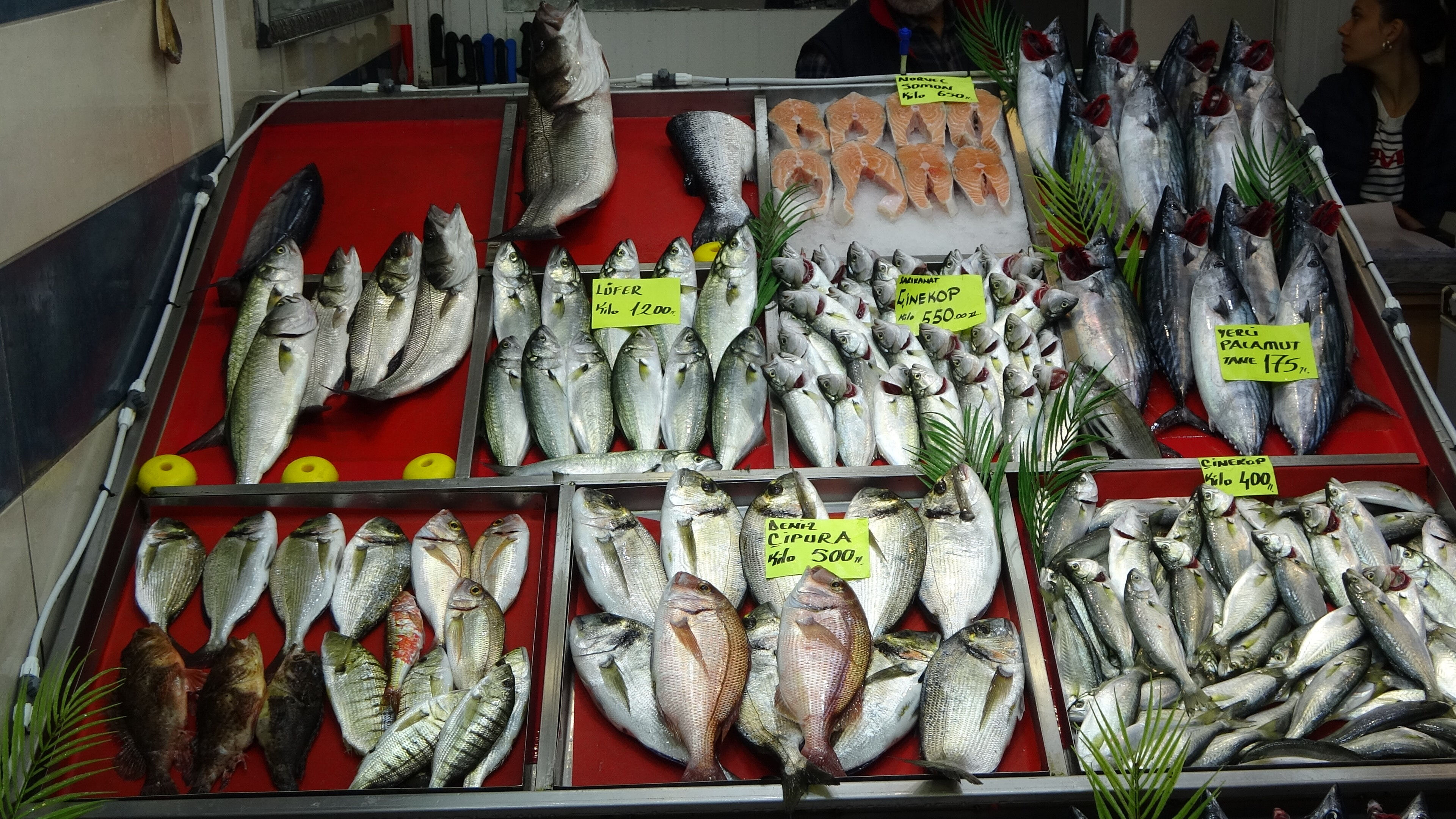 Denizlerin prensi balıkçı tezgahlarında! Kilosu 1.200 liradan satılıyor - 2. Resim