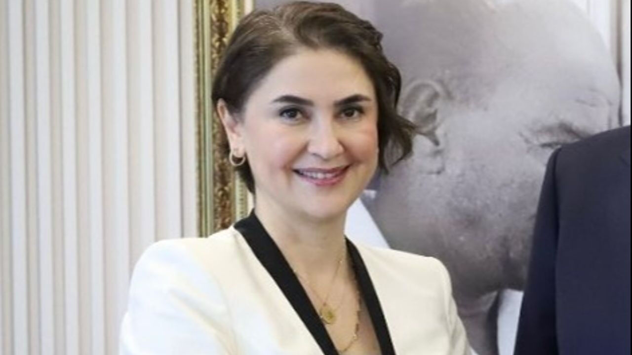 Gazeteci Hilal Köylü kimdir? Devlet Bahçeli  'Mesleği bırak' demişti! - 4. Resim