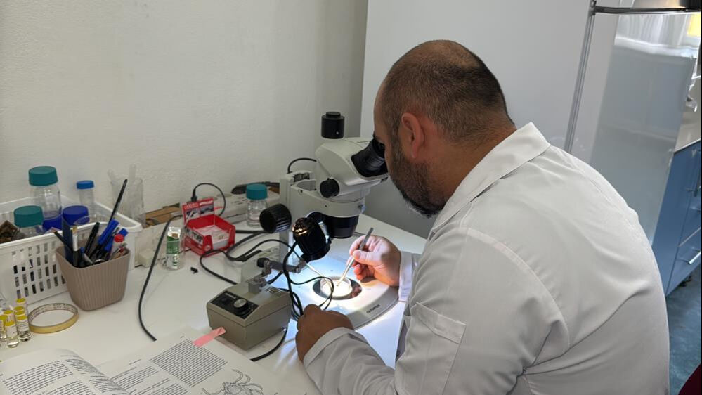 Hastalıkları taklit eden Lyme hastalığı, ABD'den sonra Türkiye'de Hastalıkları taklit eden Lyme hastalığı, ABD'den sonra Türkiye'de - 1. Resim