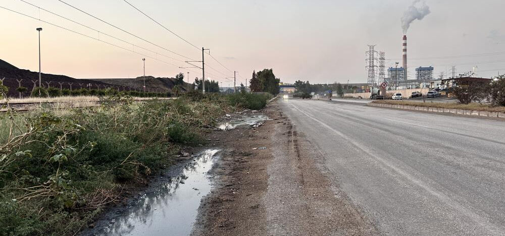 Hatay İskenderun'da fareler bir bölgeyi istila etti! Korkunç görüntüler Hatay İskenderun'da fareler bir bölgeyi istila etti! Korkunç görüntüler - 5. Resim