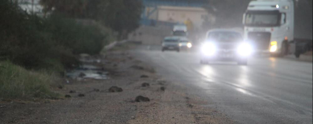 Hatay İskenderun'da fareler bir bölgeyi istila etti! Korkunç görüntüler Hatay İskenderun'da fareler bir bölgeyi istila etti! Korkunç görüntüler - 1. Resim