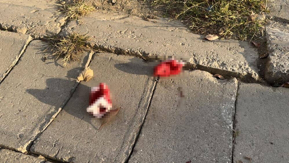 Oğlu tarafından uykusunda öldürülmüştü: Vahşete kurban giden anneye son veda Oğlu tarafından uykusunda öldürülmüştü: Vahşete kurban giden anneye son veda - 4. Resim