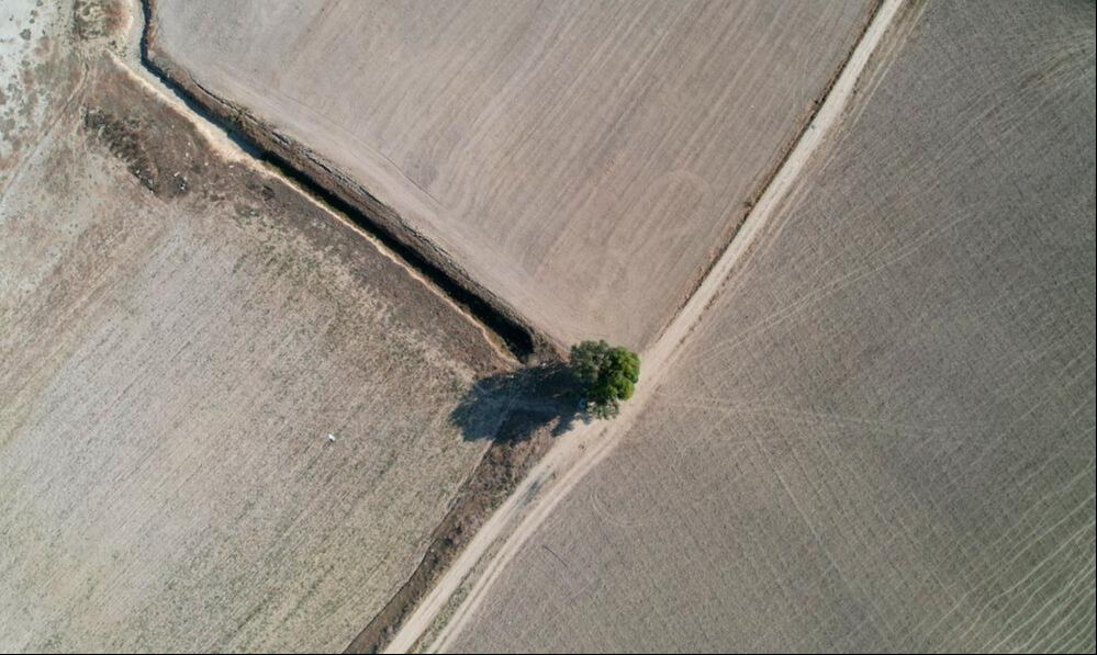 Adana'da tehlike büyük! Uzmanlar uyardı: Herkesin adapte olması gerek - 3. Resim