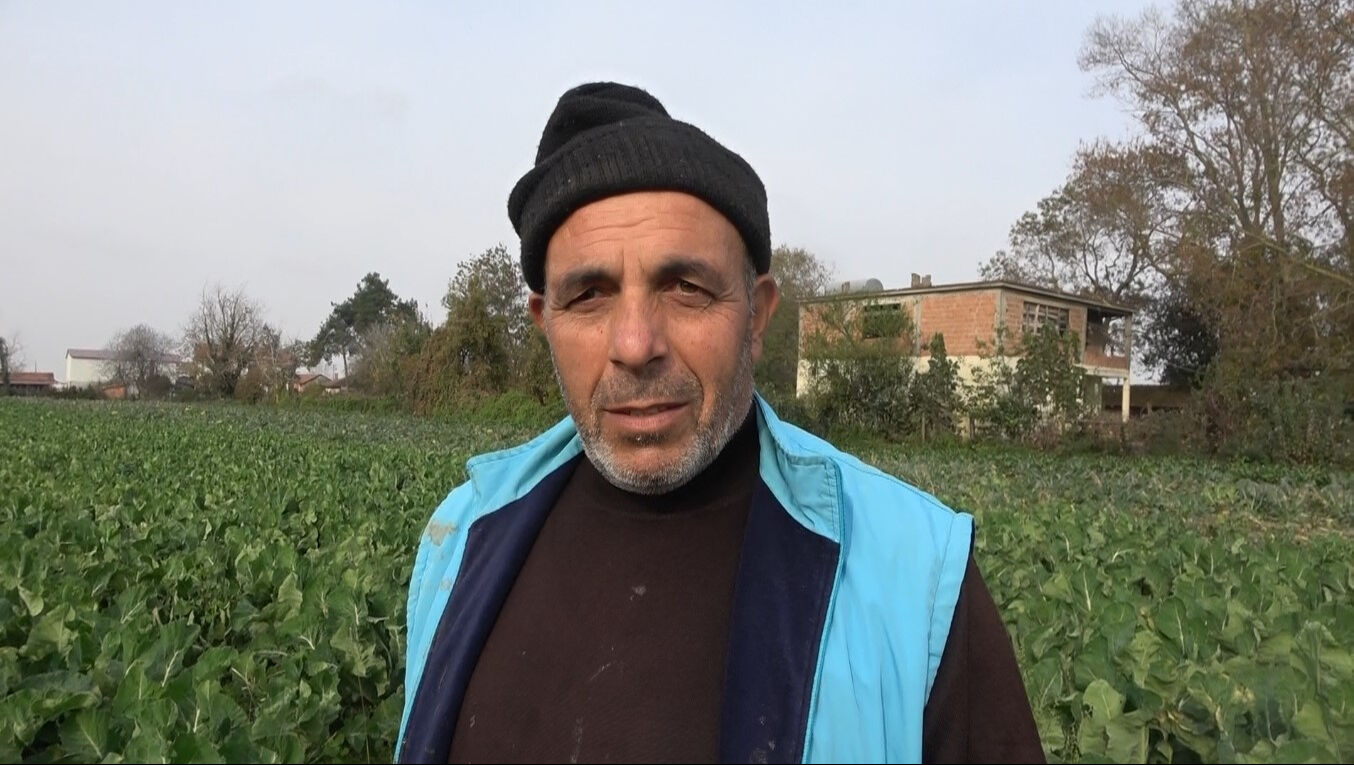 Rekolte düştü, fiyat uçtu! Üretici 'bunlar altın gibi' diyerek korkutan uyarıyı yaptı Rekolte düştü, fiyat uçtu! Üretici 'bunlar altın gibi' diyerek korkutan uyarıyı yaptı - 3. Resim