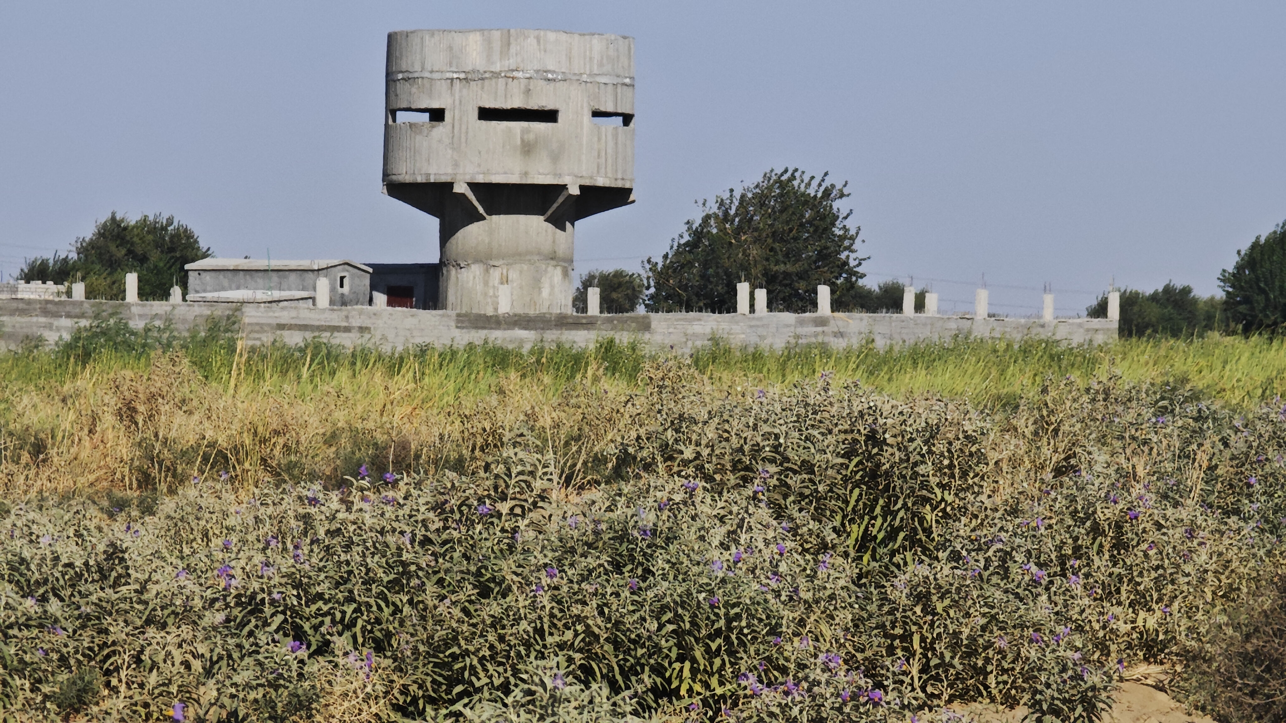 ABD terör finansörlüğünü sürdürüyor! PKK/YPG Fırat'ın doğusunda gözetleme kuleleri inşa etti - 2. Resim