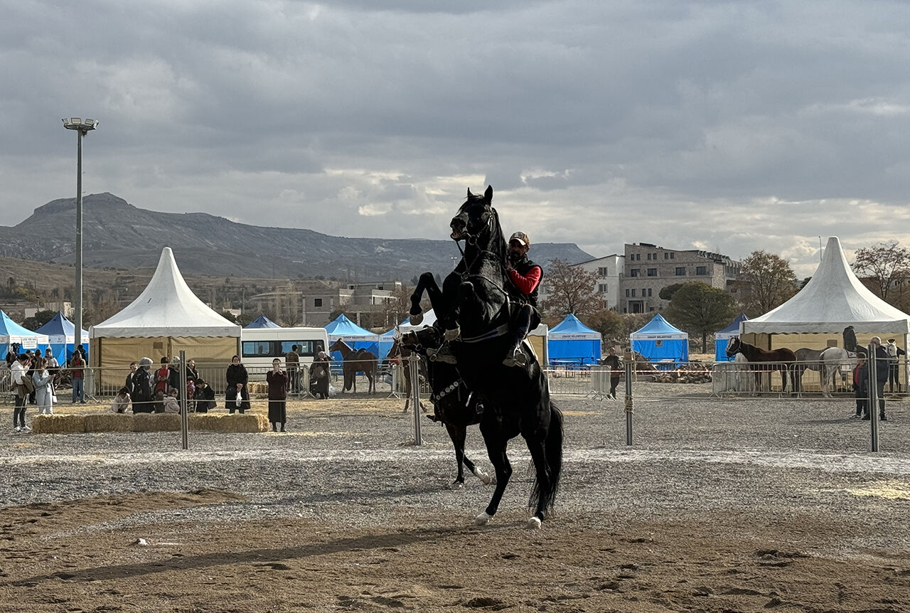 At Festivali başladı, halk akın etti! Ürgüp'te Kapadokya'nın en güzel atı seçilecek - 2. Resim