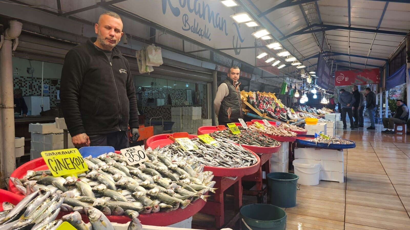 Bolluk bitti, fiyatı 250 liraya fırladı! Yerini hamsi, istavrit ve çinekop aldı Bolluk bitti, fiyatı 250 liraya fırladı! Yerini hamsi, istavrit ve çinekop aldı - 1. Resim