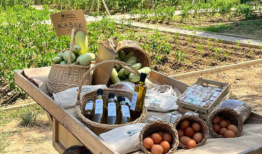 İlker Ayrık 'dede' oldu! Fotoğraflarını paylaştı, yorumlar gecikmedi - 1. Resim