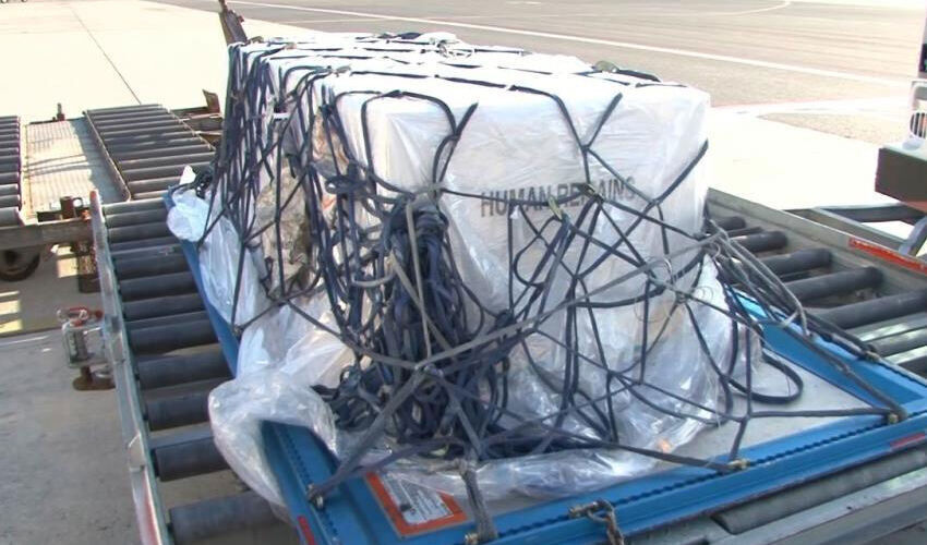 Ahu Tuğba’nın kızı Anjelik’e büyük miras! Saymaya çekindi, cevabıyla takdir topladı - 1. Resim