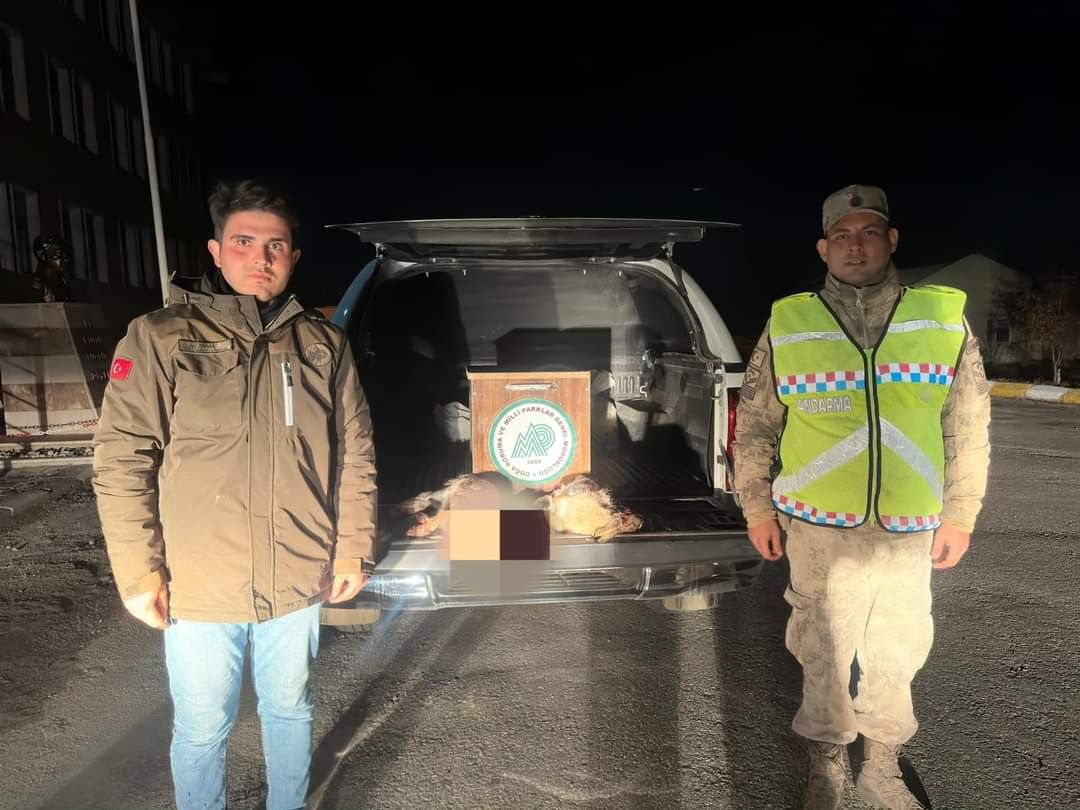 Gece avına para cezası! Van'da kaçak avcılara suç üstü - 1. Resim