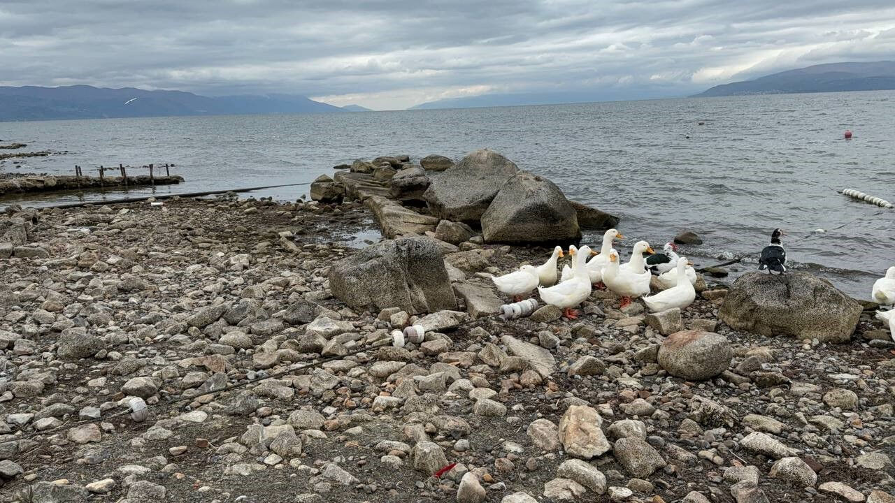 İznik Gölü korkuttu! Kuraklık 2 bin yıllık bazilikayı ortaya çıkardı - 4. Resim