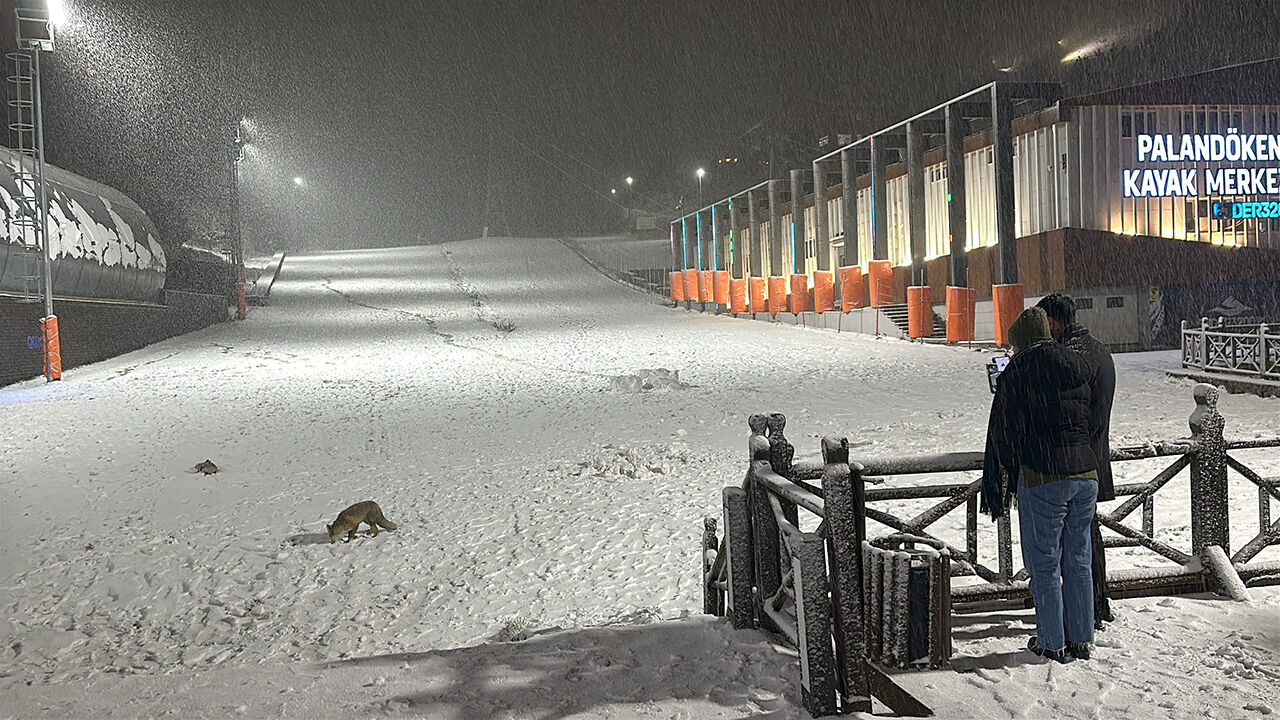 Kayak merkezine tilkiler indi... Erzurum Palandöken'de unutulmaz görüntüler kaydedildi - 6. Resim