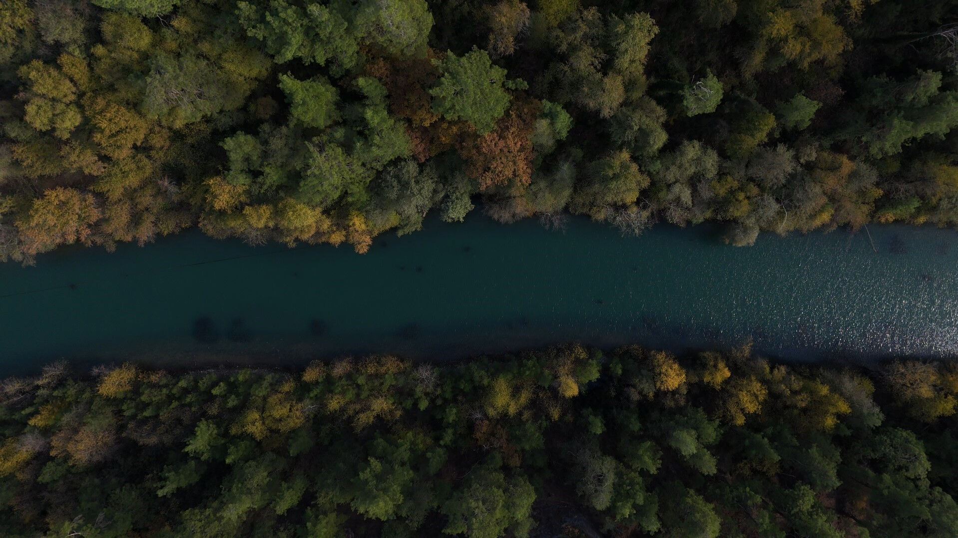 Anadolu Sığla Ormanı'nın güzelliği özel izinle görülebiliyor! Dünyada sadece 2 yerde var | Arşivlik kareler Anadolu Sığla Ormanı'nın güzelliği özel izinle görülebiliyor! Dünyada sadece 2 yerde var | Arşivlik kareler - 3. Resim