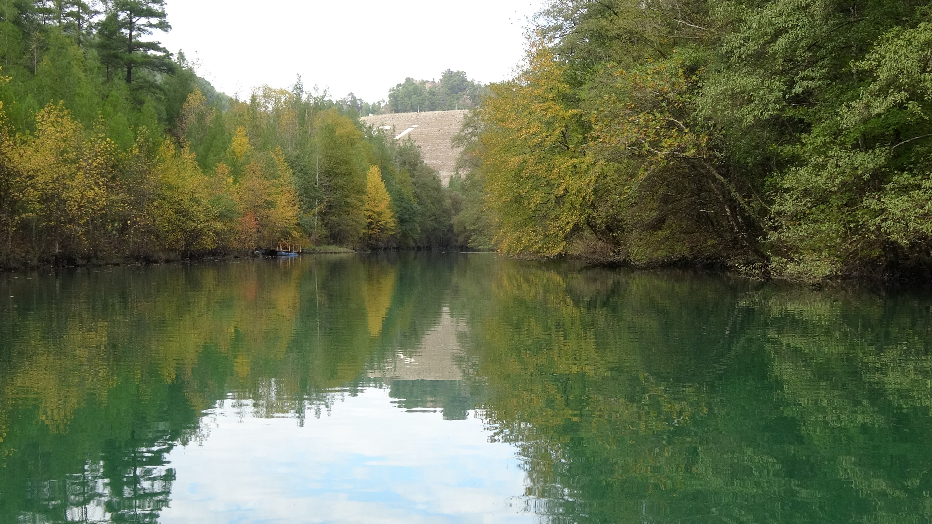 Anadolu Sığla Ormanı'nın güzelliği özel izinle görülebiliyor! Dünyada sadece 2 yerde var | Arşivlik kareler Anadolu Sığla Ormanı'nın güzelliği özel izinle görülebiliyor! Dünyada sadece 2 yerde var | Arşivlik kareler - 4. Resim