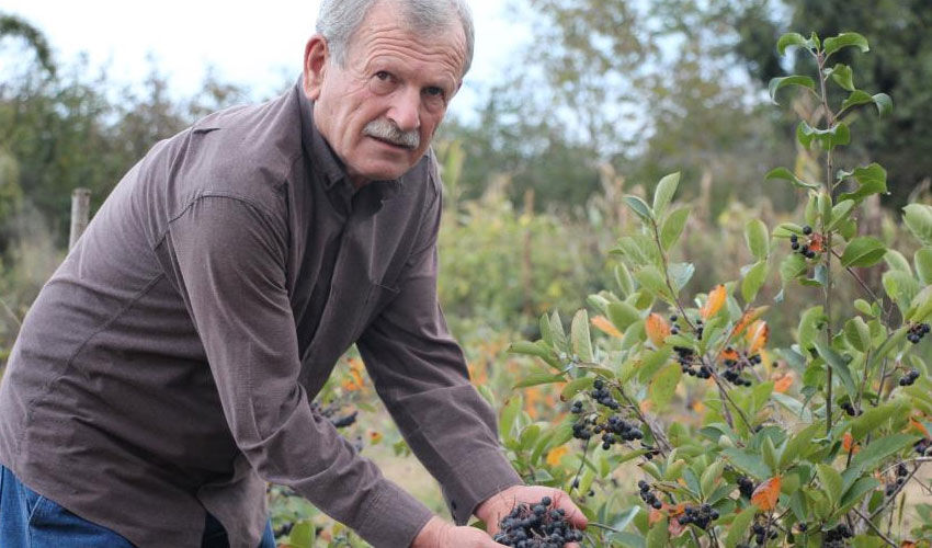 Eşinin rahatsızlığı için kendi imkanlarıyla ekti, şimdi taleplere yetişemiyor! Tamamen organik… - 3. Resim