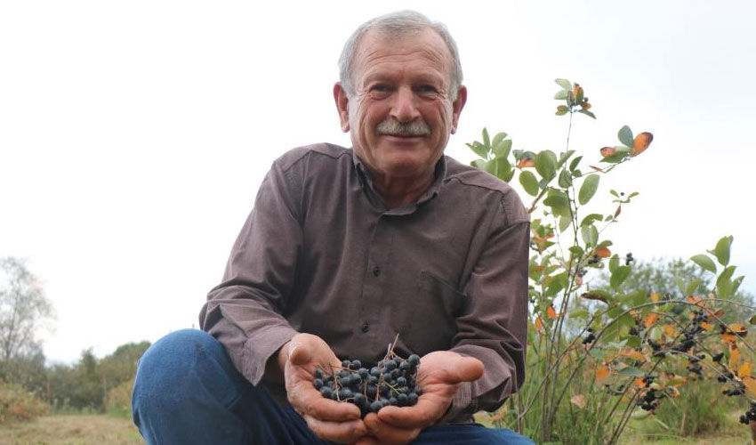 Eşinin rahatsızlığı için kendi imkanlarıyla ekti, şimdi taleplere yetişemiyor! Tamamen organik… - 4. Resim