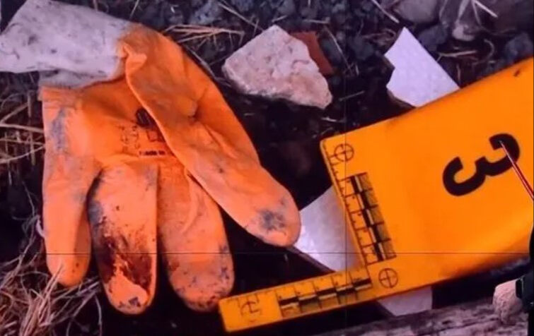 Narin Güran cinayetinde yeni delil! Ahırdaki kanlı eldiven tüm gizemi çözecek - 2. Resim