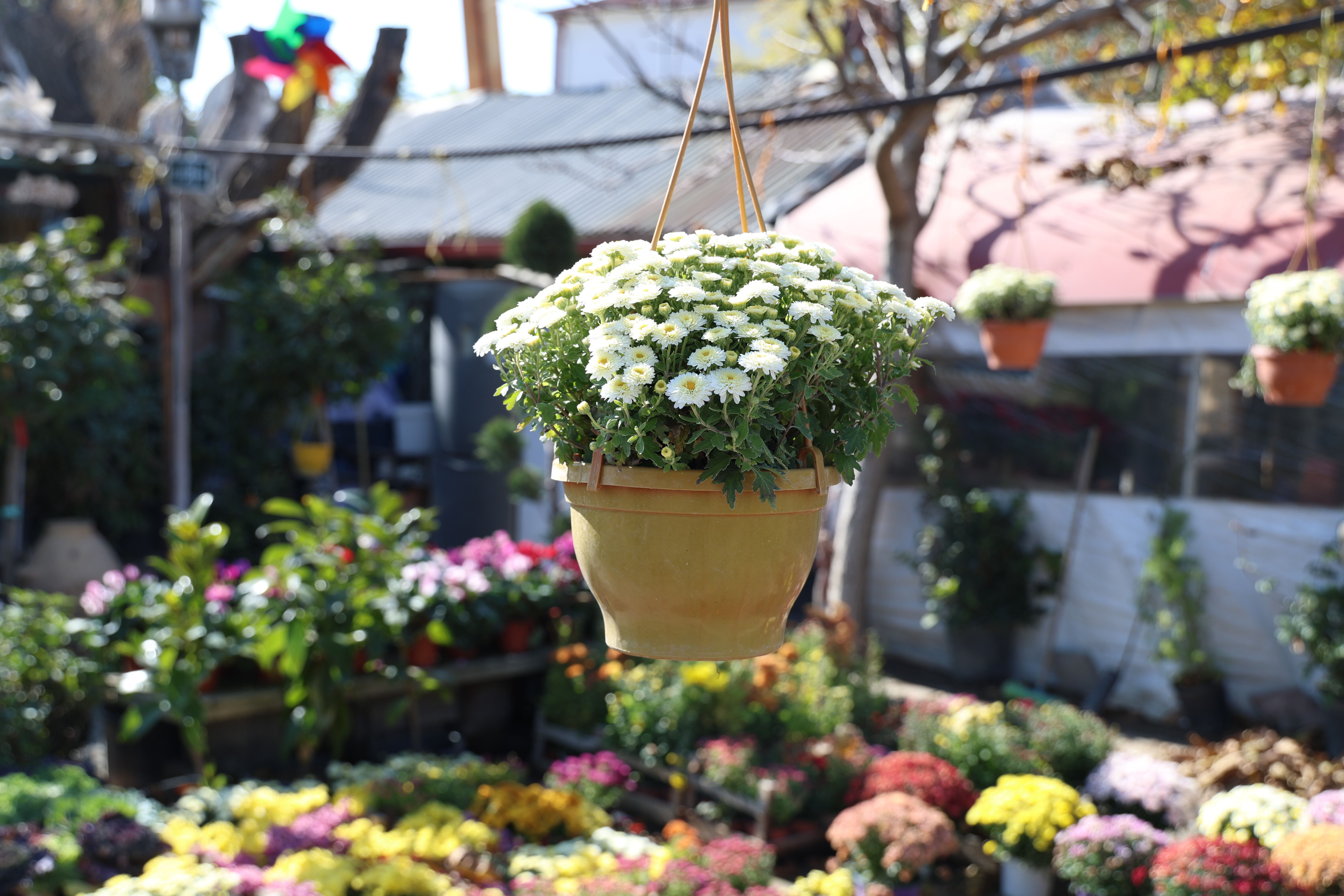 25 kamera da çare olmadı... Elazığlı esnafın dükkanı 100 kez soyuldu: Biz utandık, onlar utanmadı - 1. Resim
