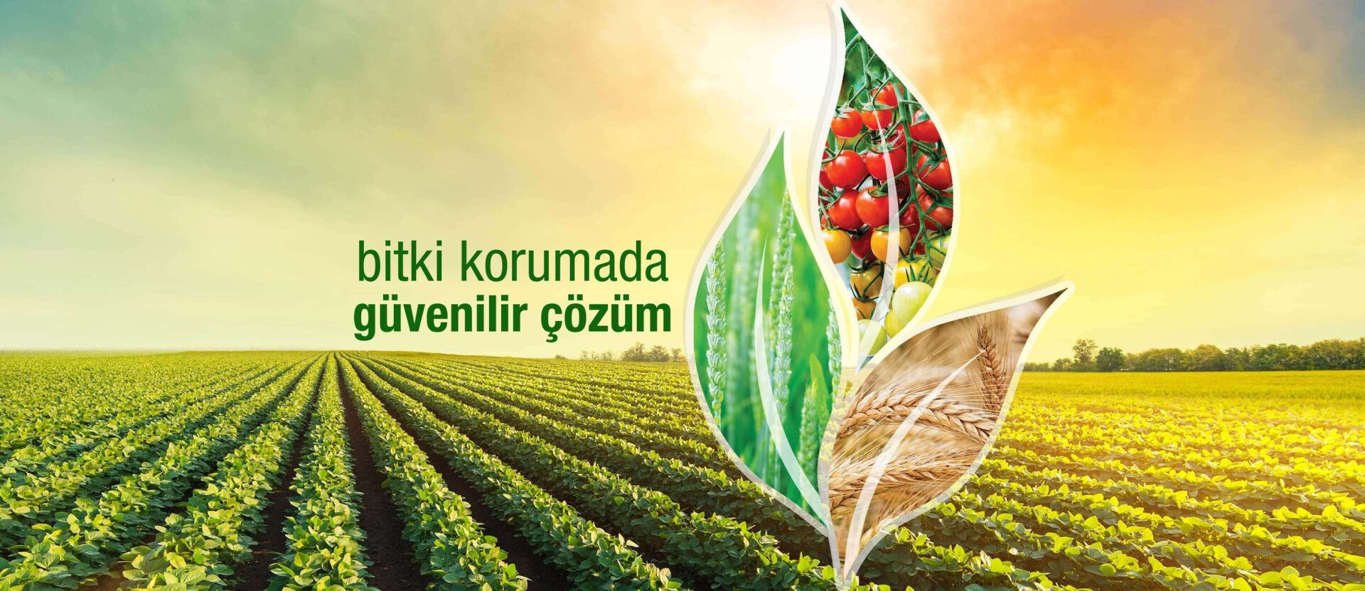 Borsa yatırımcıları dikkat: Tarkim halka arzıyla borsa ateşlenecek! Borsa yatırımcıları dikkat: Tarkim halka arzıyla borsa ateşlenecek! - 2. Resim