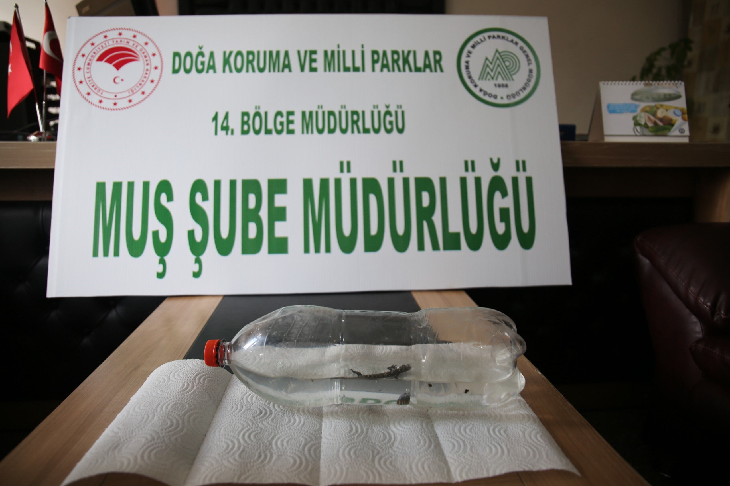 Musluğu açınca neye uğradığını şaşırdı! İçinden öyle bir hayvan çıktı ki... - 2. Resim