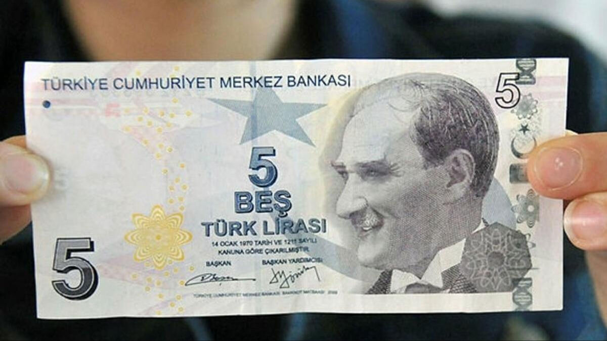 Yeni 50 TL ve 5 TL duyuruldu! Yeni paralar tedavüle çıktı mı, farklar neler? - 2. Resim