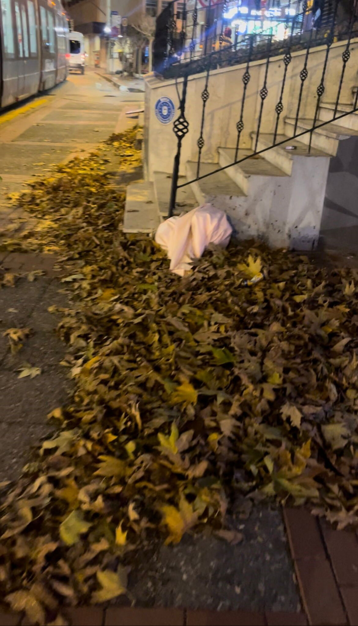 Meteoroloji uyarmıştı! Bursa'da şiddetli lodos hayatı felç etti - 1. Resim