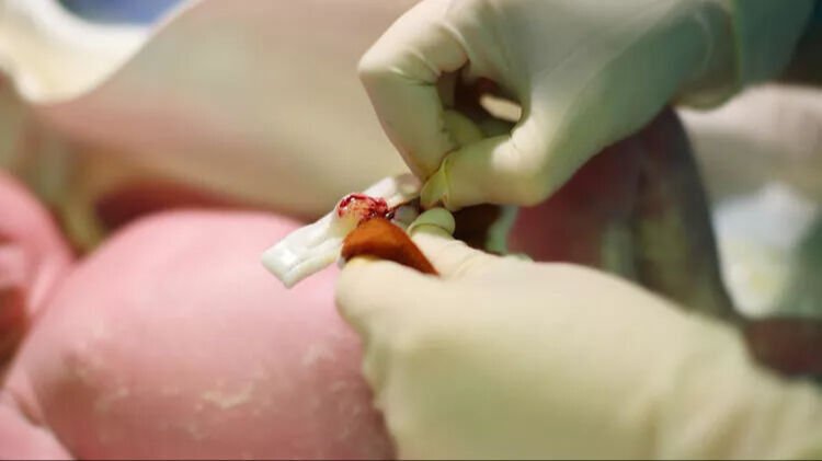 Koç Holding'den sağlık alanında bir yatırım daha! Dev şirketi resmen satın aldı - 2. Resim