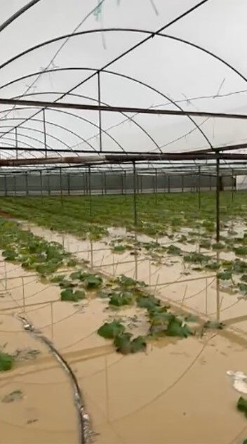 Antalya'da sağanak hayatı felç etti! AFAD mahsur kalan 403 kişiyi tahliye etti - 2. Resim