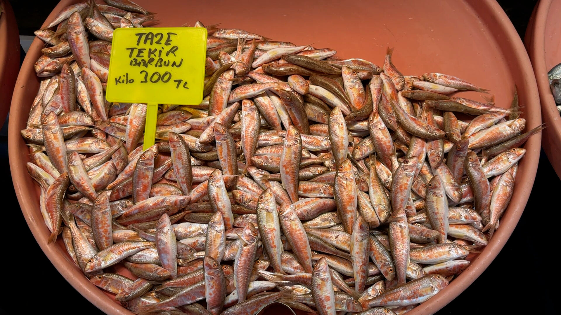 Palamuda veda! Tezgahları çinekop ve hamsi şenlendiriyor - 2. Resim