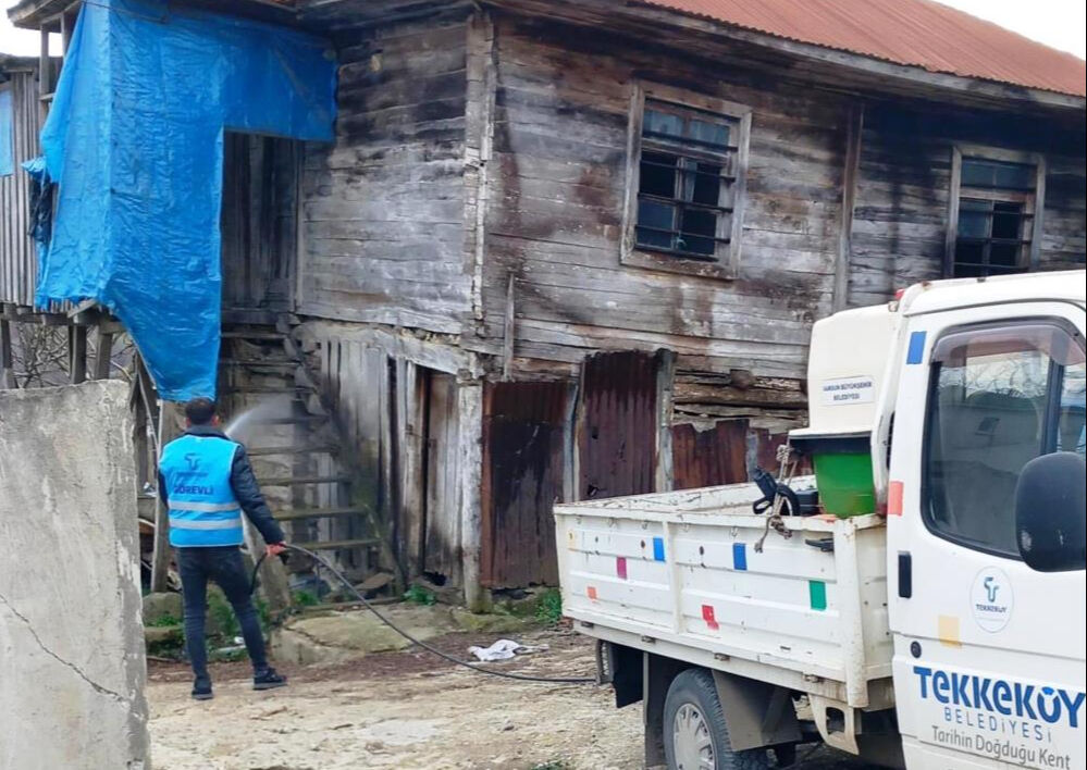 Samsunlular tarım ve hayat alanları için savaşta! Köylüler istilacı kahverengi kokarca böceğine karşı ayaklandı Samsunlular tarım ve hayat alanları için savaşta! Köylüler istilacı kahverengi kokarca böceğine karşı ayaklandı - 3. Resim