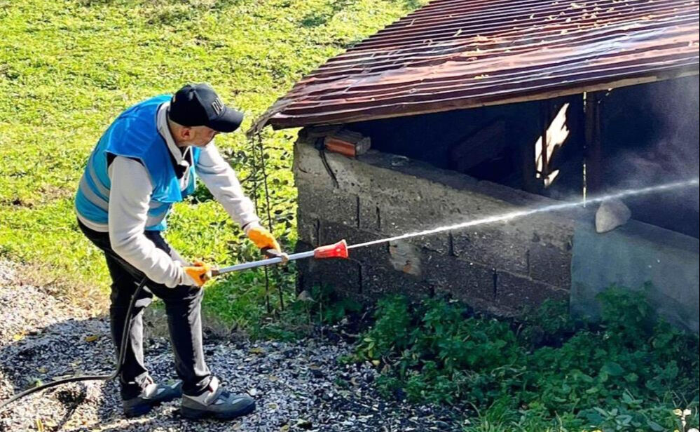 Samsunlular tarım ve hayat alanları için savaşta! Köylüler istilacı kahverengi kokarca böceğine karşı ayaklandı Samsunlular tarım ve hayat alanları için savaşta! Köylüler istilacı kahverengi kokarca böceğine karşı ayaklandı - 1. Resim