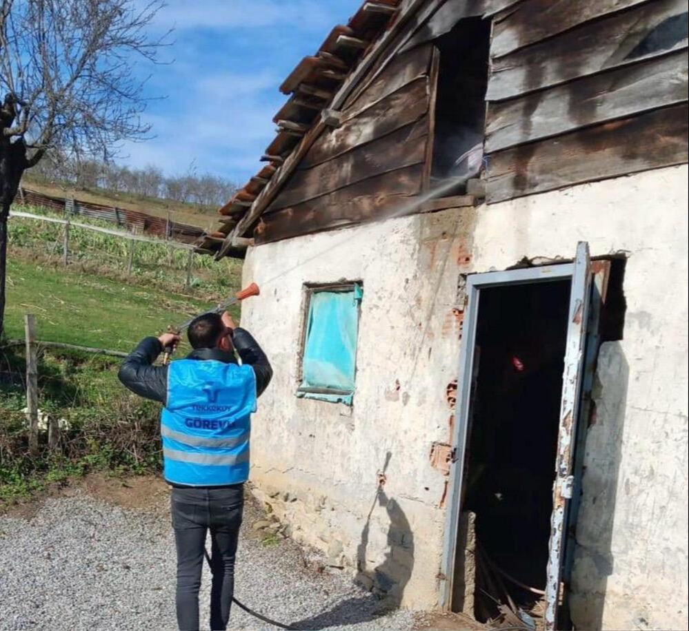 Samsunlular tarım ve hayat alanları için savaşta! Köylüler istilacı kahverengi kokarca böceğine karşı ayaklandı Samsunlular tarım ve hayat alanları için savaşta! Köylüler istilacı kahverengi kokarca böceğine karşı ayaklandı - 4. Resim