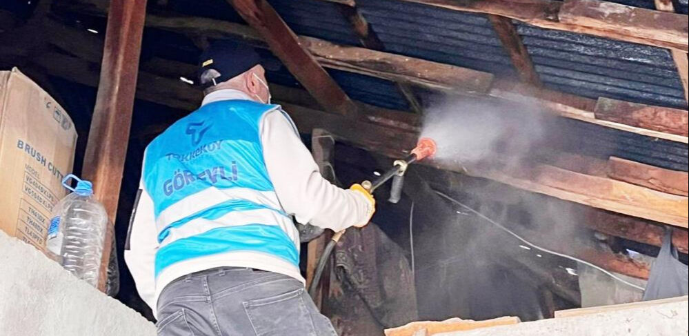 Samsunlular tarım ve hayat alanları için savaşta! Köylüler istilacı kahverengi kokarca böceğine karşı ayaklandı Samsunlular tarım ve hayat alanları için savaşta! Köylüler istilacı kahverengi kokarca böceğine karşı ayaklandı - 2. Resim