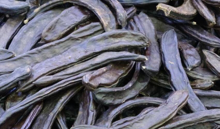 Şeker yerine en güzel alternatif! Kek ve kurabiyede gönül rahatlığıyla kullanabilirsiniz - 1. Resim