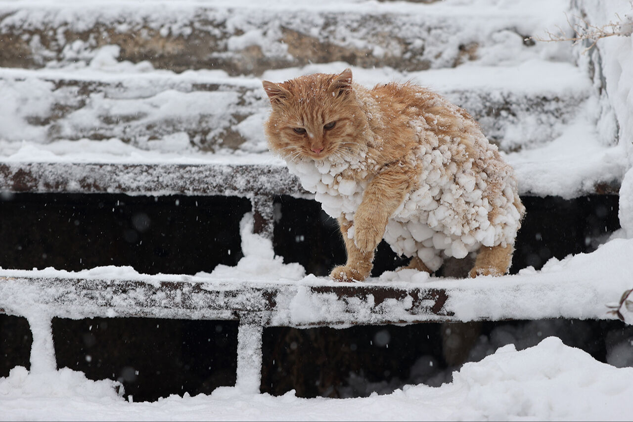İlk defa kar yağışı görüyor! Balon için geldiler, kar topu oynadılar: Kapadokya'da kar keyfini turistler sürdü - 1. Resim